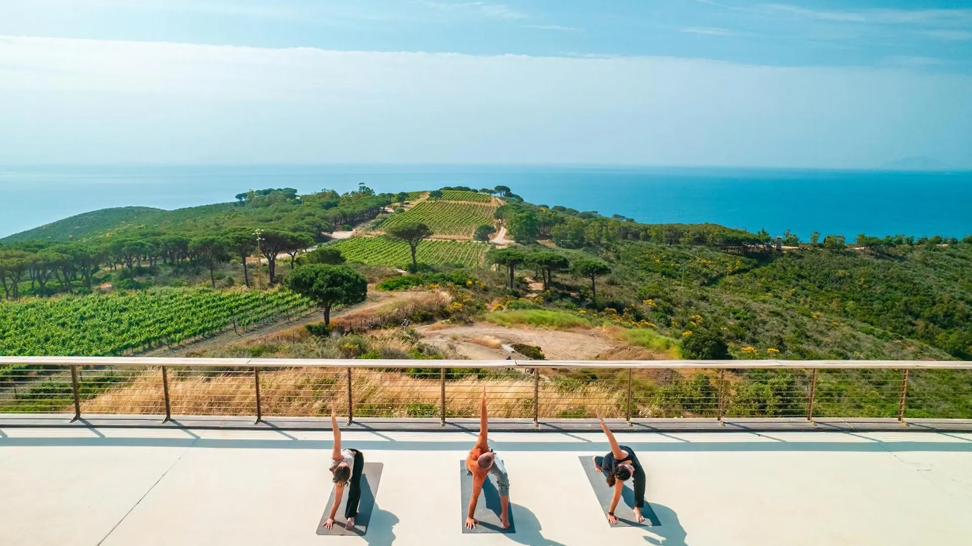 Tenuta Delle Ripalte Capoliveri  Italy