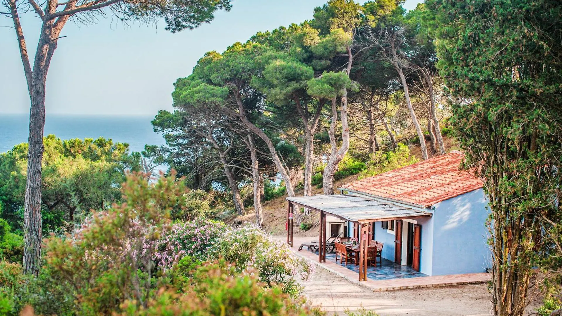 Tenuta Delle Ripalte Capoliveri  Capoliveri (Isola d'Elba)