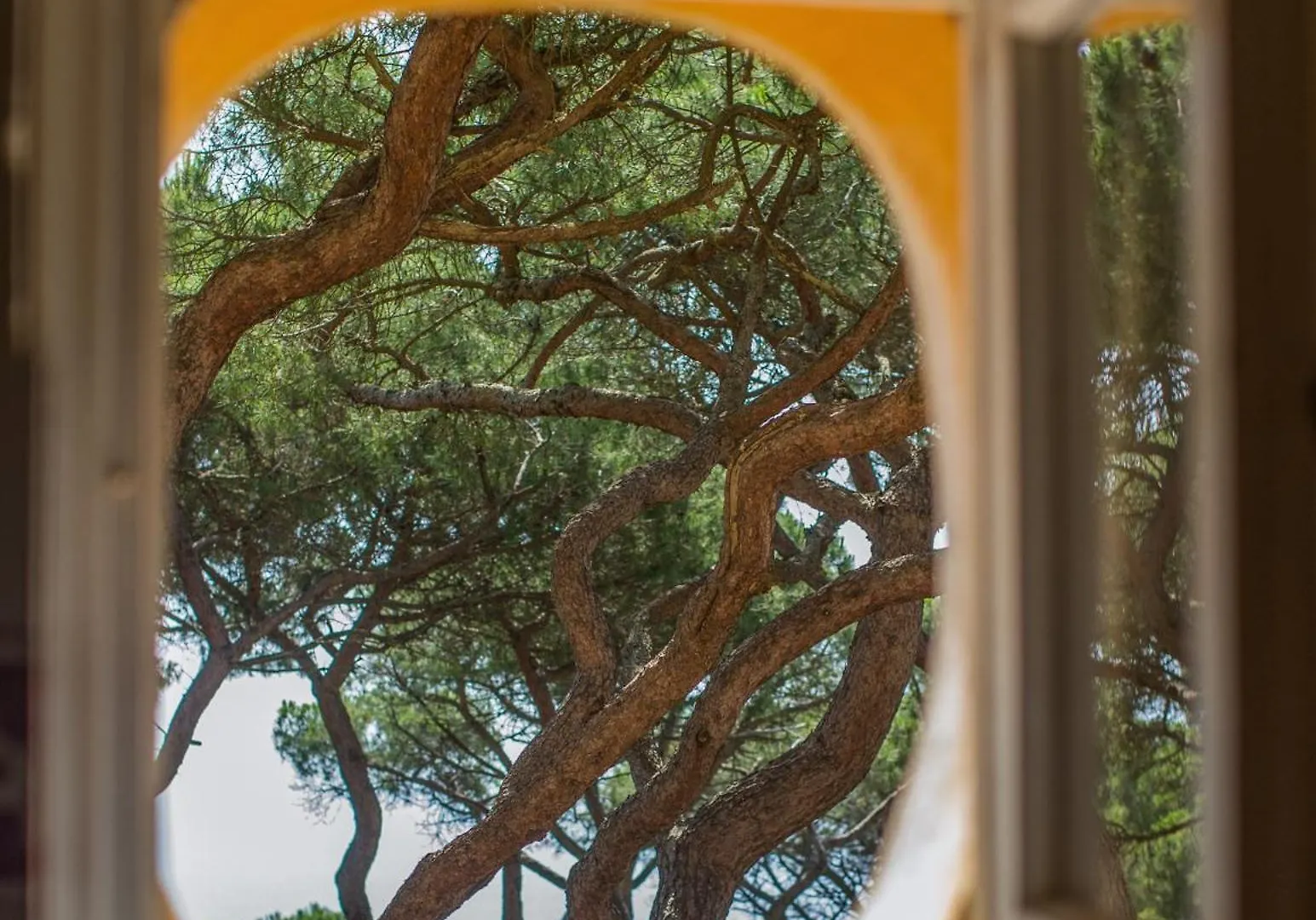 Tenuta Delle Ripalte Capoliveri  Capoliveri (Isola d'Elba)