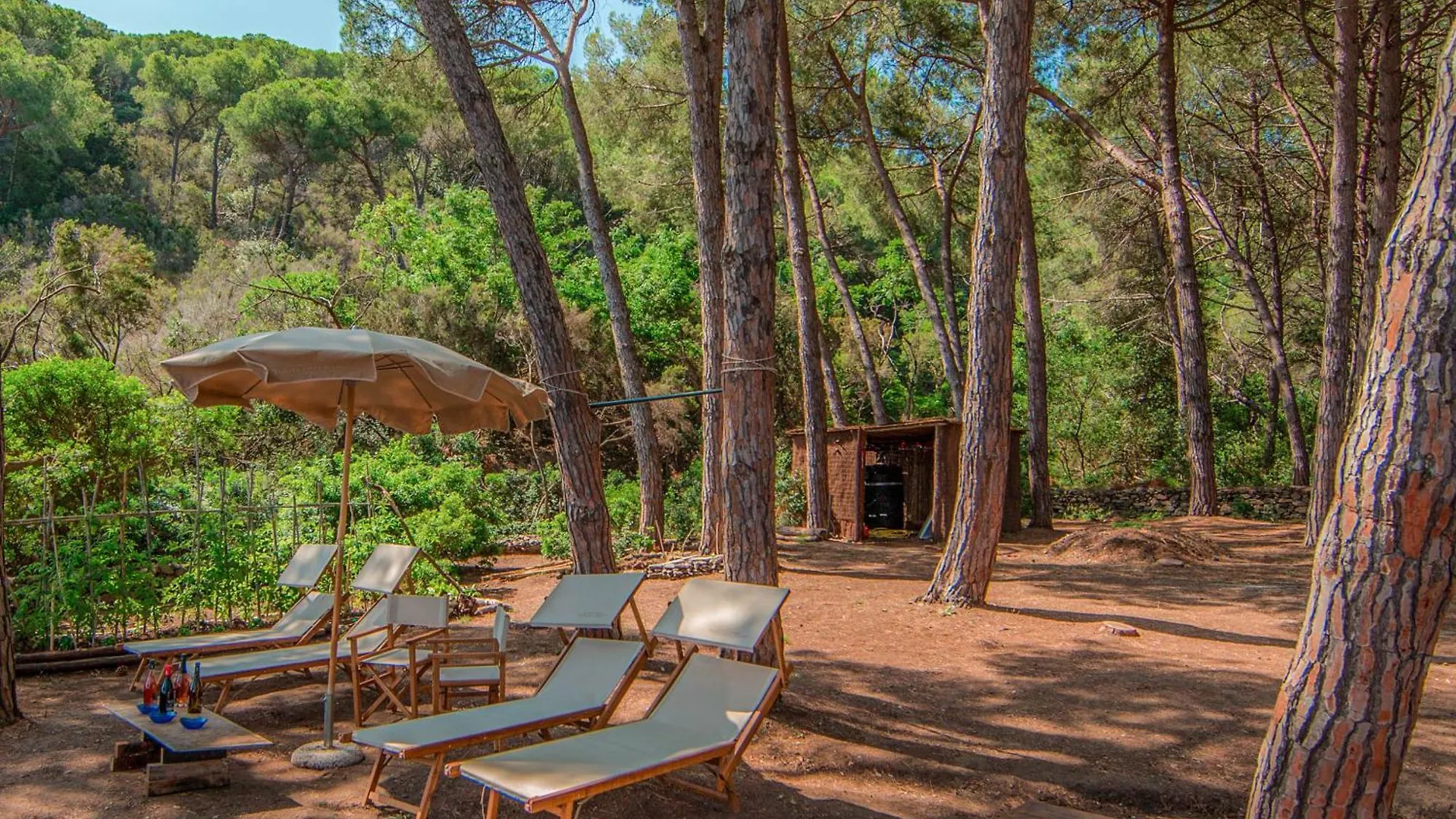 *** Hotel Tenuta Delle Ripalte Capoliveri  Italy